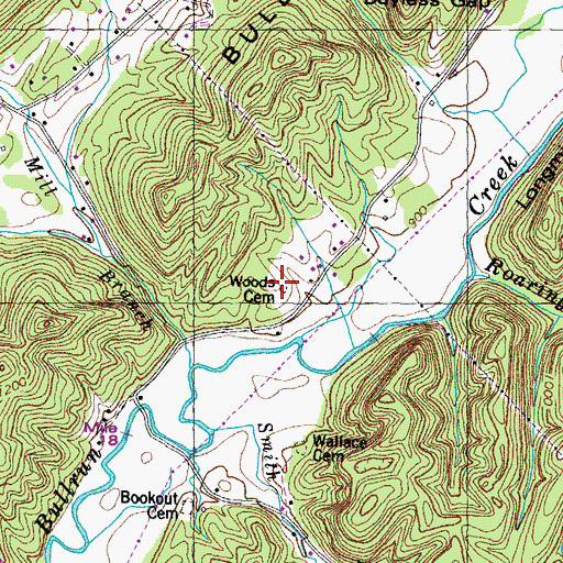 Topographic Map of Woods Cemetery, TN