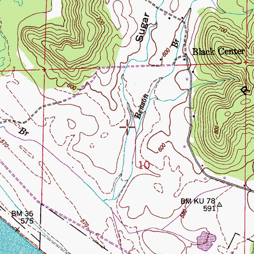 Topographic Map of Sugar Tree Hollow, AL