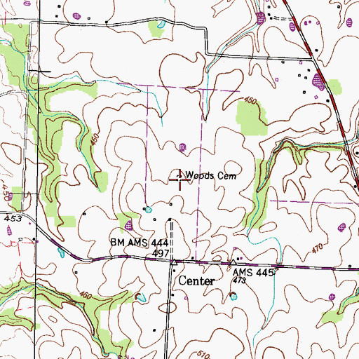 Topographic Map of Woods Cemetery, TN