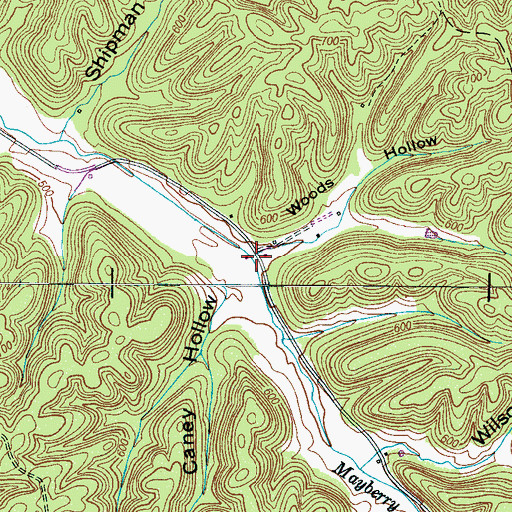 Topographic Map of Woods Hollow, TN