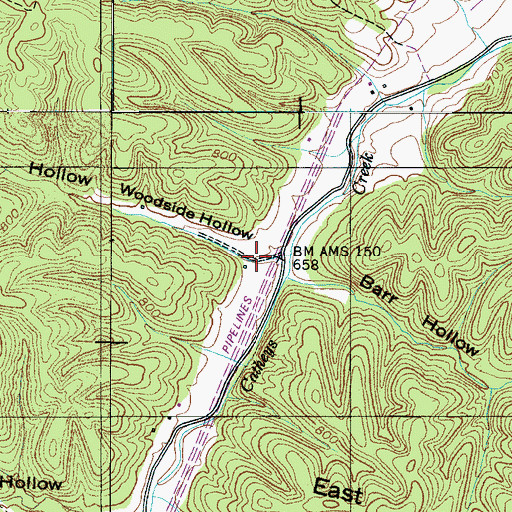 Topographic Map of Woodside Hollow, TN