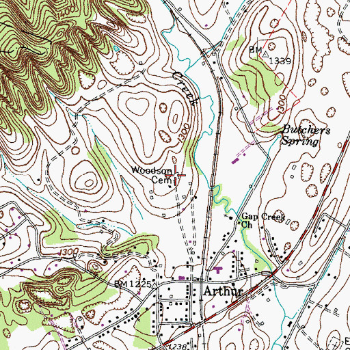 Topographic Map of Woodson Cemetery, TN