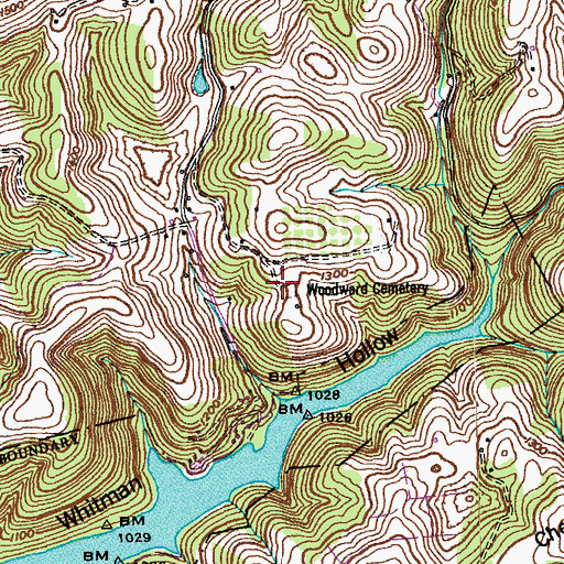Topographic Map of Woodward Cemetery, TN