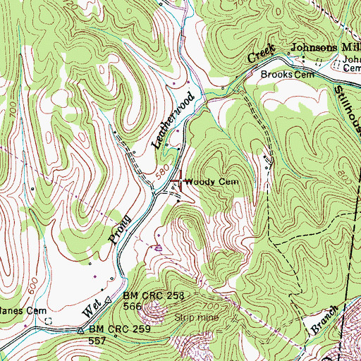 Topographic Map of Woody Cemetery, TN