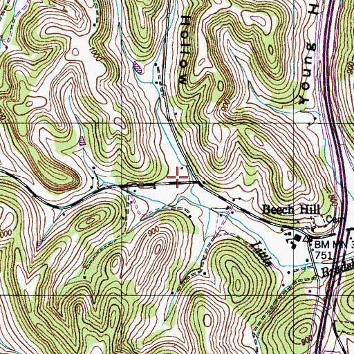Topographic Map of Worsham Hollow, TN