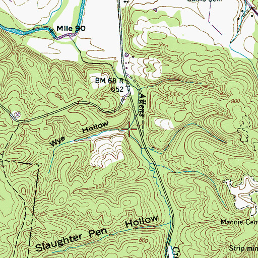 Topographic Map of Wye Hollow, TN