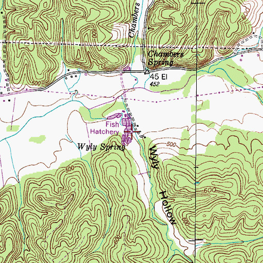 Topographic Map of Wyly Hollow, TN