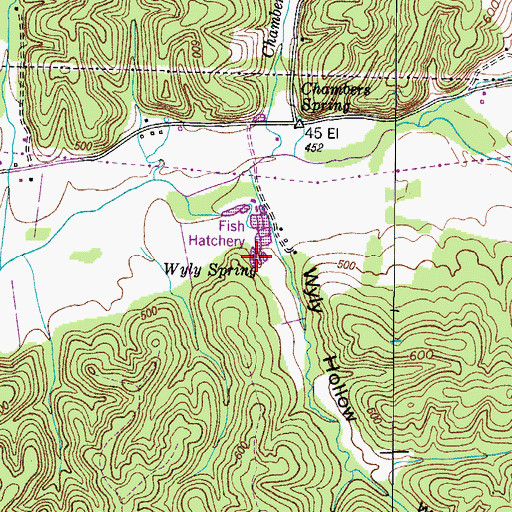 Topographic Map of Wyly Spring, TN
