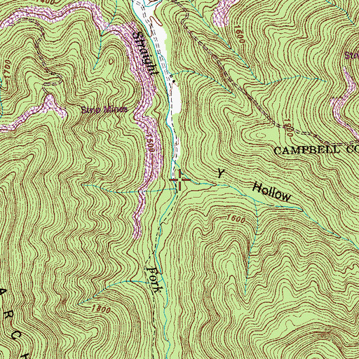 Topographic Map of Y Hollow, TN