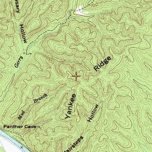 Topographic Map of Yankee Ridge, TN