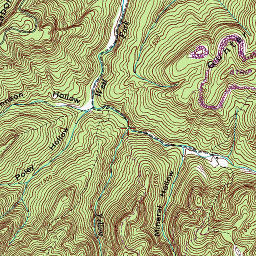 Topographic Map of Yellow Branch, TN