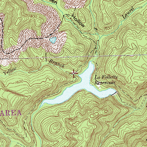 Topographic Map of Yellow Branch, TN