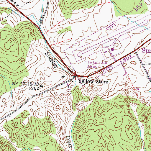 Topographic Map of Yellow Store, TN