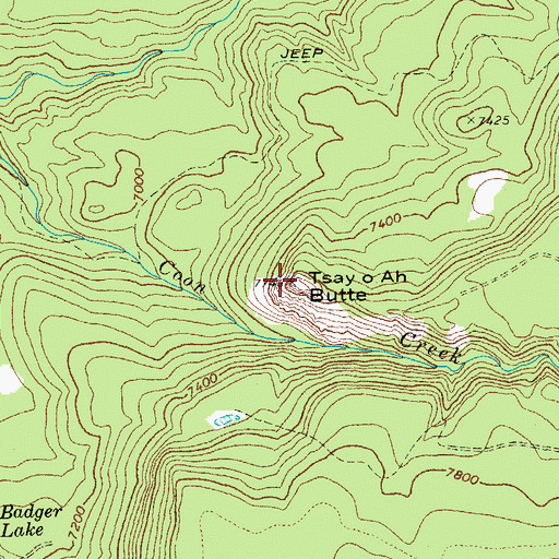 Topographic Map of Tsay O Ah Butte, AZ
