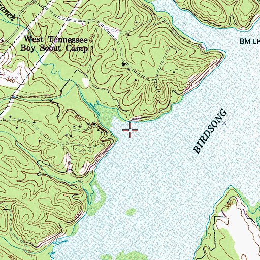 Topographic Map of York Branch, TN