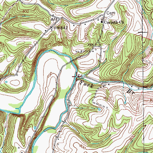 Topographic Map of York Branch, TN