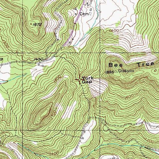 Topographic Map of York Gap, TN