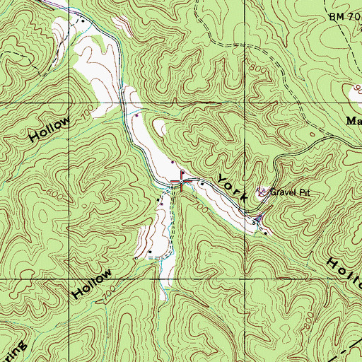 Topographic Map of York Hollow, TN