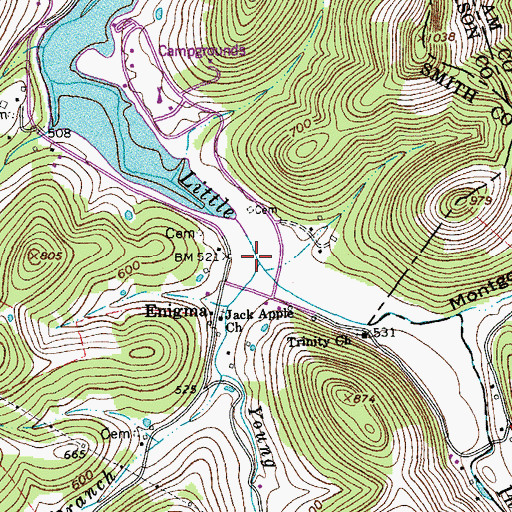 Topographic Map of Young Branch, TN