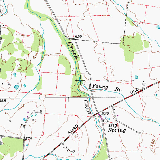 Topographic Map of Young Branch, TN