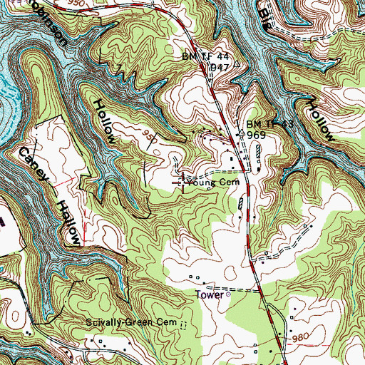 Topographic Map of Young Cemetery, TN