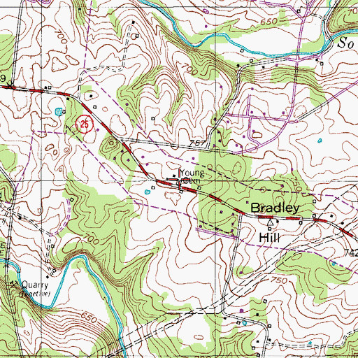 Topographic Map of Young Cemetery, TN