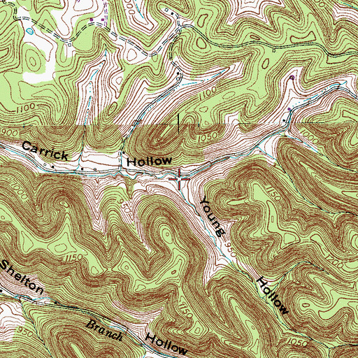 Topographic Map of Young Hollow, TN