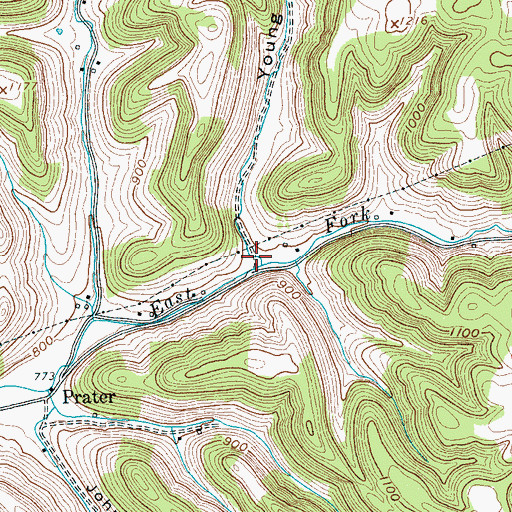 Topographic Map of Young Hollow, TN