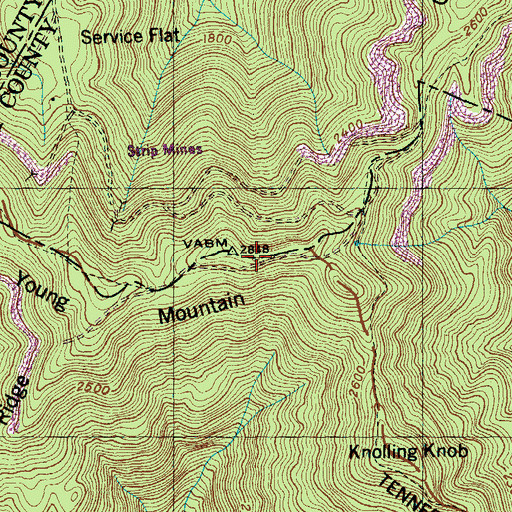 Topographic Map of Young Mountain, TN