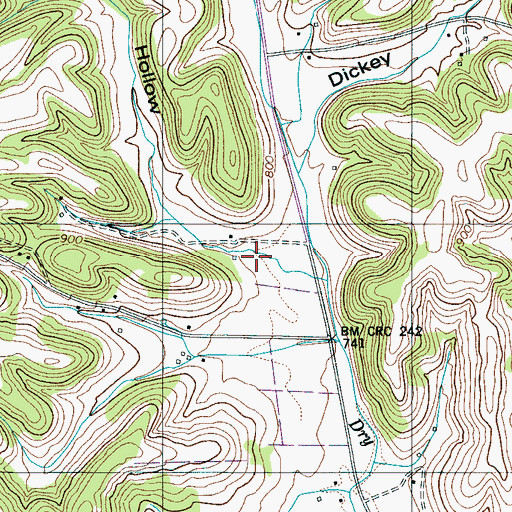 Topographic Map of Zuccarello Hollow, TN