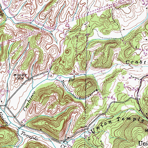Topographic Map of Bright Branch, TN