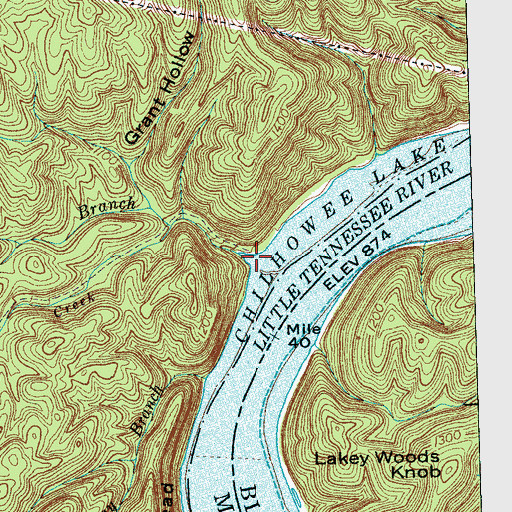 Topographic Map of Carringer Branch, TN