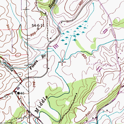 Topographic Map of Fiesta Branch, TN