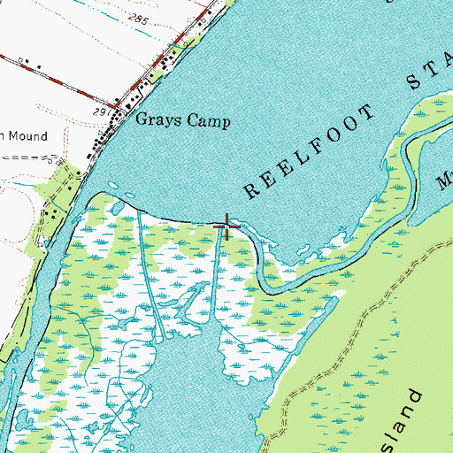 Topographic Map of Bayou du Chien, TN