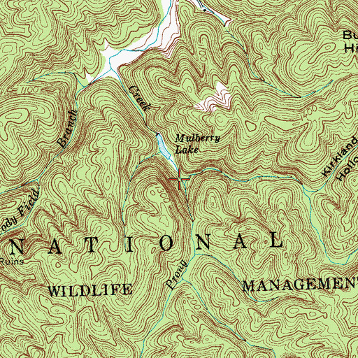 Topographic Map of Rough Prong, TN