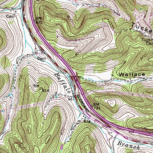 Topographic Map of Wallace Hollow, TN