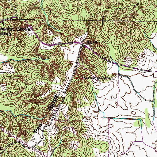Topographic Map of Abernathy Cemetery, TN