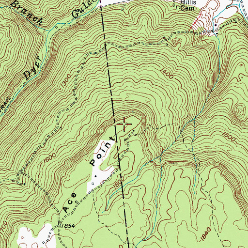 Topographic Map of Ace Point, TN