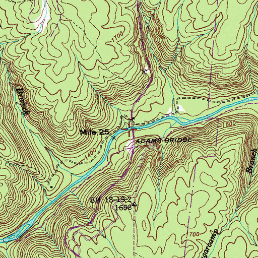 Topographic Map of Adams Bridge, TN