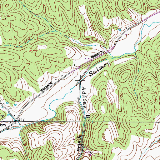 Topographic Map of Adkins Branch, TN