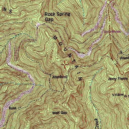 Topographic Map of Adkins Mountain, TN