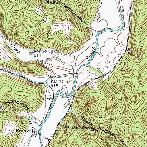 Topographic Map of Allen Branch, TN