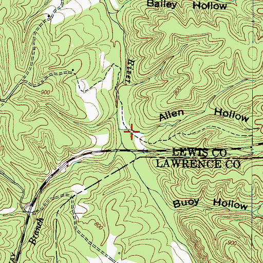 Topographic Map of Allen Hollow, TN