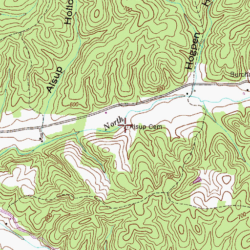 Topographic Map of Alsup Cemetery, TN