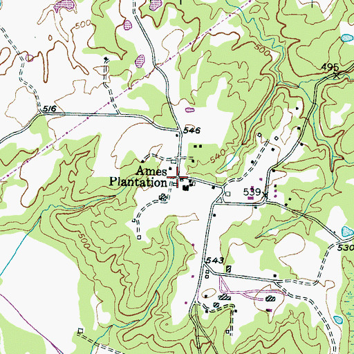 Topographic Map of Ames Plantation, TN