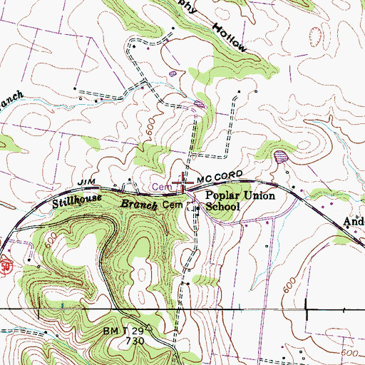 Topographic Map of Anderson Chapel, TN