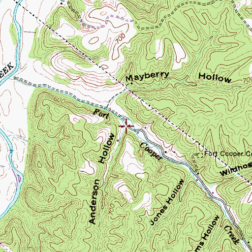 Topographic Map of Anderson Hollow, TN