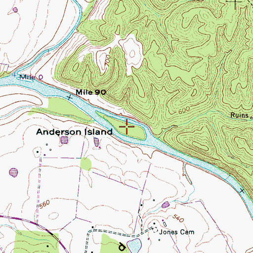 Topographic Map of Anderson Island, TN