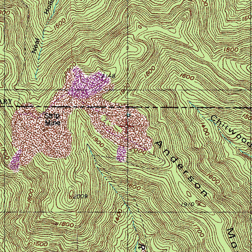 Topographic Map of Anderson Mountain, TN