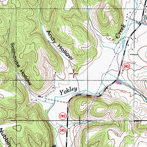 Topographic Map of Andy Hollow, TN